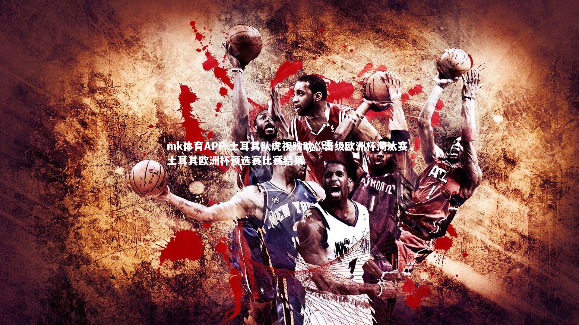 土耳其队虎视眈眈，晋级欧洲杯淘汰赛，土耳其欧洲杯预选赛比赛结果