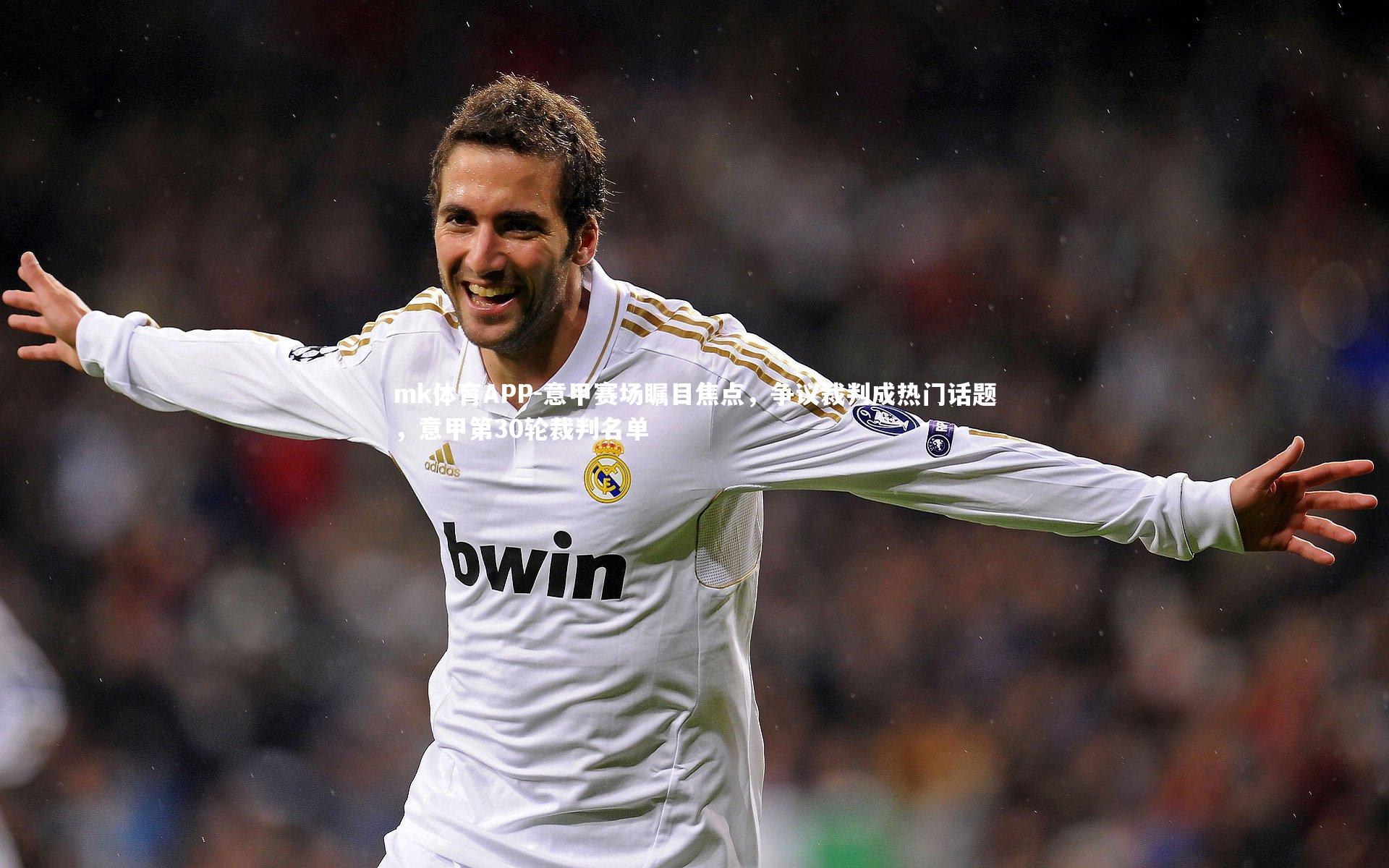 意甲赛场瞩目焦点，争议裁判成热门话题，意甲第30轮裁判名单