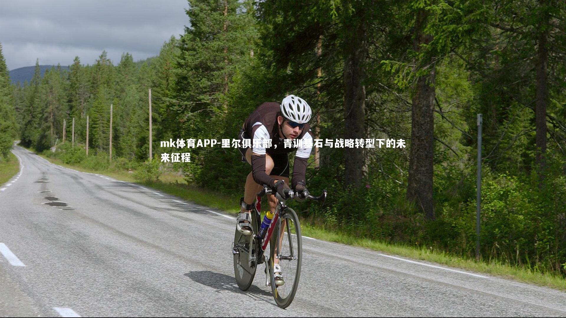 mk体育APP-里尔俱乐部，青训基石与战略转型下的未来征程